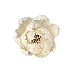 Esmeralda Peony Sola Flower