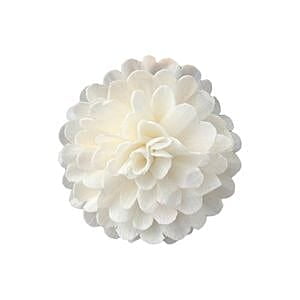 Donian Sola Flower