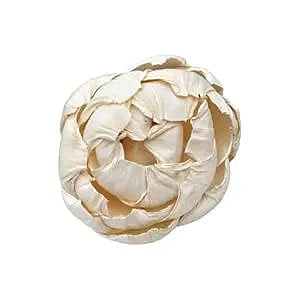 Sola Curvy Peony