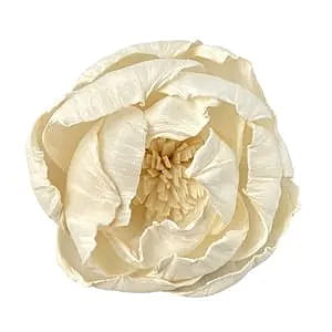 Peony Reed Diffuser with Pollen