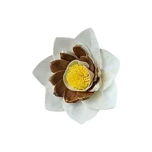 Briony Sola Flower