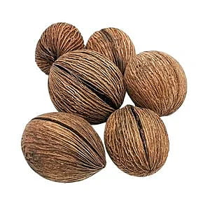 Mintola Pod
