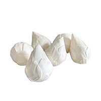 Sola Lotus Buds