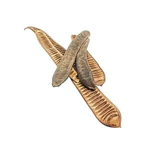 Step Fruit Dried