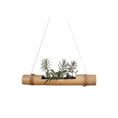 Bamboo Palnter Plain