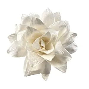 Beth Sola Flower