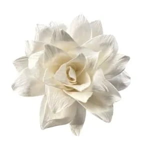 Beth Sola Flower Beth Sola Flower