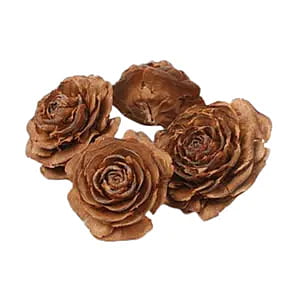 Cedar Rose