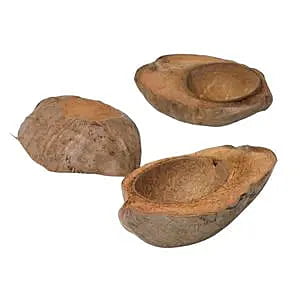 Coconut Shell Dried