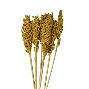 Corn Sticks