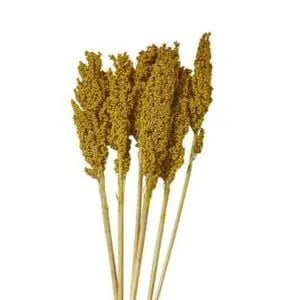Corn Sticks Corn Sticks