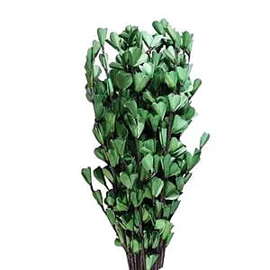 Palm Lily Stick