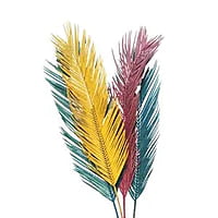 Cycus Leaf Cycus Leaf