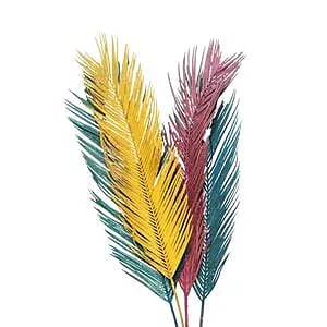 Cycus Leaf