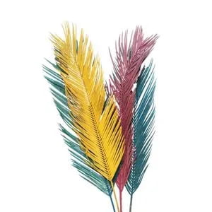 Cycus Leaf Cycus Leaf