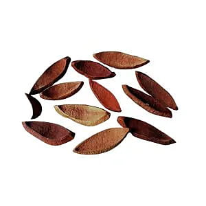 Mahogany Shell Natural