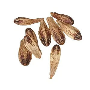 Mahogany Pods