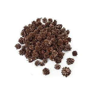 Star Flower Dried