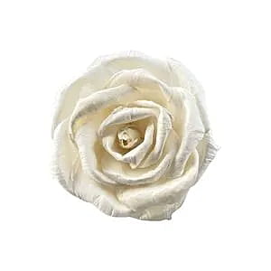 Eris Sola Flower