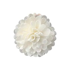 Feather Ball Sola Flower
