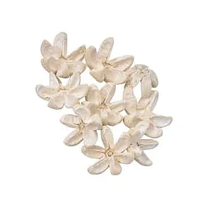 Kartuz Dried Flower