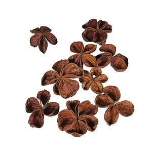 Land Lotus Dried