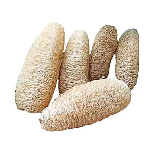 Lufa