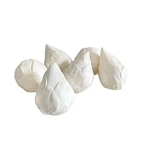 Lotus Buds Lotus Buds