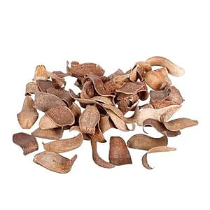 Mahogany Spoon Dried