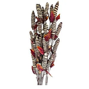 Chain Pine Stick