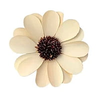 Palm Daisy Flower Palm Daisy Flower