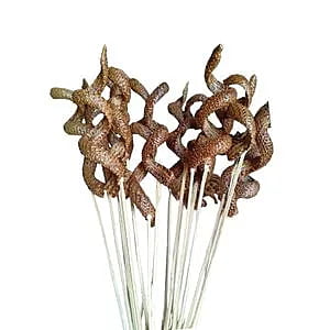 Palm Snake Stick