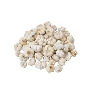 Paras Pods