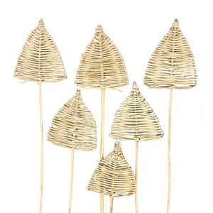 Rattan Spear