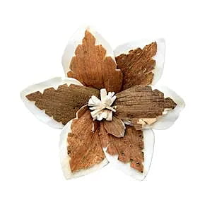 Sky Star Sola Flower