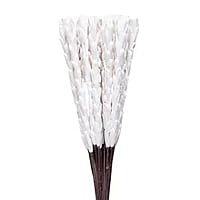 Sola Rajnigandha Sticks Sola Rajnigandha Sticks