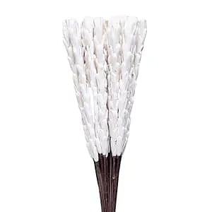 Sola Rajnigandha Sticks