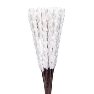 Sola Rajnigandha Sticks Sola Rajnigandha Sticks
