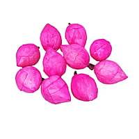 Lotus Buds Lotus Buds