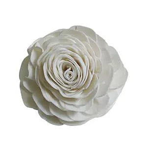 Sola Beauty Rose