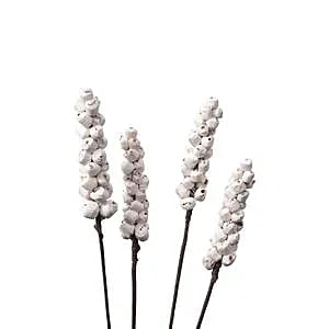 Sola Berries Stick