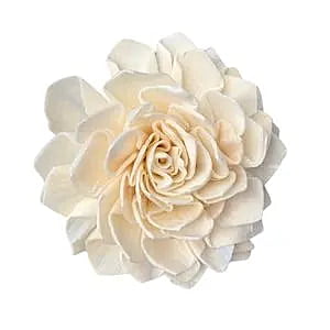 Sola Dahlia Flower