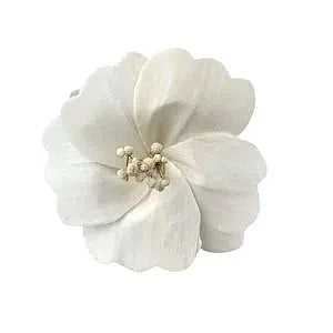 Sola Hibiscus Flower