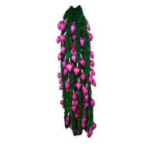 Sola Ladi 5ft 111 Sola Ladi 5ft 111