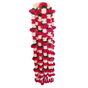 Sola Ladi 5ft 112 Sola Ladi 5ft 112