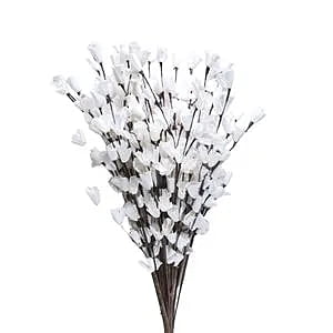 Sola Lily Stick