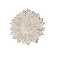 Sola Sunflower Sola Sunflower
