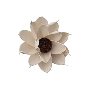Sola Flame Daisy
