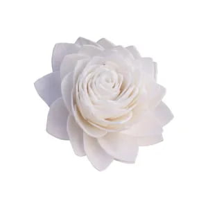 Sola Lotus Flower Sola Lotus Flower