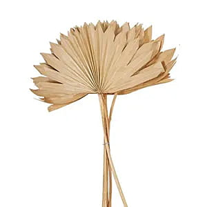 Sun Spear